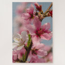 Buscar japonesa puzzles Primavera