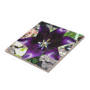 Buscar huevos azulejos Flores