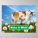 Buscar dientes animales posters Humor