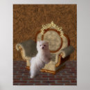 Buscar perro maltés blanco posters Para ella