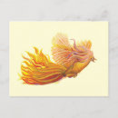 Buscar fenix postales Pájaro