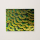 Buscar pavo real puzzles Abstracto