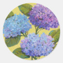 Buscar hydrangeas pegatinas Botánico