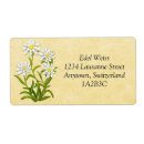 Buscar edelweiss etiquetas Flores