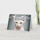 Buscar imagen del gato tarjetas General y unisex