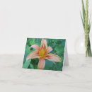 Buscar señalización tarjetas 8 º tarjeta