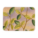 Buscar planta imanes Verde