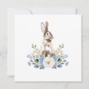 Buscar conejo tarjetas Azul