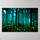 Buscar luciérnagas posters Insecto