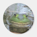 Buscar sonrisa imanes Animal