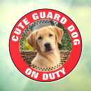 Buscar perro guardián Para todos