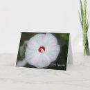 Buscar hibiscos tarjetas Flor tropical
