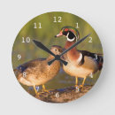 Buscar gallina relojes de pared Pájaro