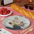 Buscar critter decoracion Roedor