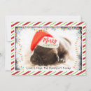 Buscar santa pug tarjetas Cachorro