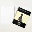 Buscar pincher Doberman pincher