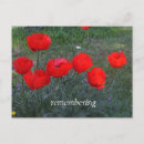 Buscar amapolas rojas postales Para ellos