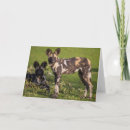 Buscar tanzania tarjetas Animales