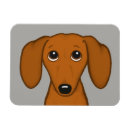 Buscar el salvador imanes Dachshund