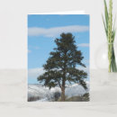 Buscar colorado springs tarjetas Primaveras