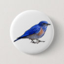 Buscar bird chapas Vintage