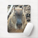 Buscar capybara alfombrillas de raton Roedor