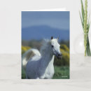 Buscar cola de caballo tarjetas En ejecución