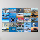 Buscar estratégico posters B 52