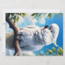 Buscar cockatoo tarjetas Animal