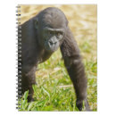 Buscar gorila libretas Primate