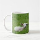 Buscar corderos tazas Lindo
