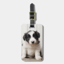 Buscar perritos etiquetas para maletas Perro