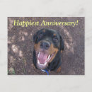 Buscar heidi postales Perro