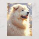 Buscar los pirineos postales Cachorro