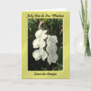 Buscar diámetro tarjetas Feliz