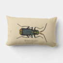 Buscar insect cojines Para todos