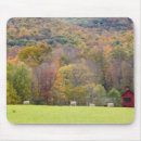 Buscar balas alfombrillas de raton Granero