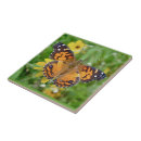 Buscar americana azulejos Naturaleza