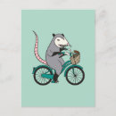 Buscar el montar en bicicleta postales Ciclismo