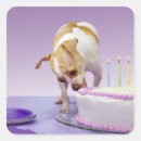 Buscar chihuahua pegatinas Cumpleaños