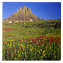 Buscar alpino azulejos Usa