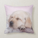 Buscar de labrador cojines Adorable