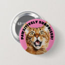 Buscar crazy chapas 9 º gata