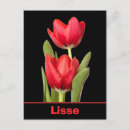 Buscar lisa postales Rojo