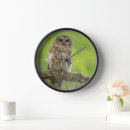 Buscar musgo relojes de pared Danita delimont