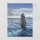 Buscar esperanza de vida postales Mar