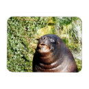 Buscar leon imanes Foto