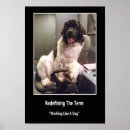 Buscar newfie posters Para todos
