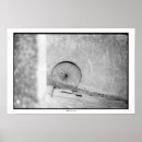 Buscar rueda de la vida posters Bicicleta