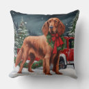 Buscar setter cojines General y unisex